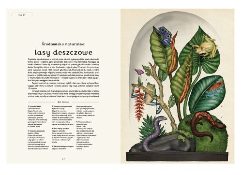 Dwie Siostry Animalium