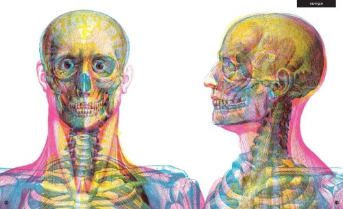 Dwie Siostry Gabinet anatomii