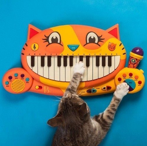 B.Toys pianino kotek Meowsic dla dzieci