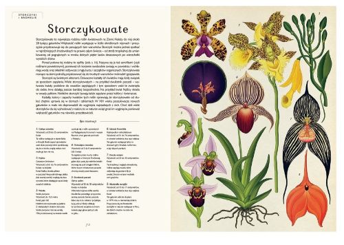 Dwie Siostry Botanicum Muzeum Roślin