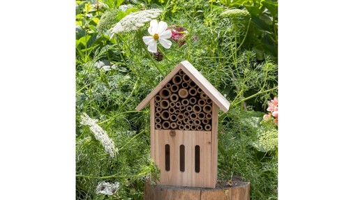 Rex London Domek dla pszczół i motyli
