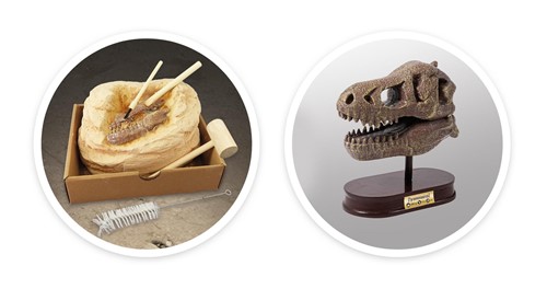 Buki Muzeum czaszek dinozaura - TYRANOZAUR