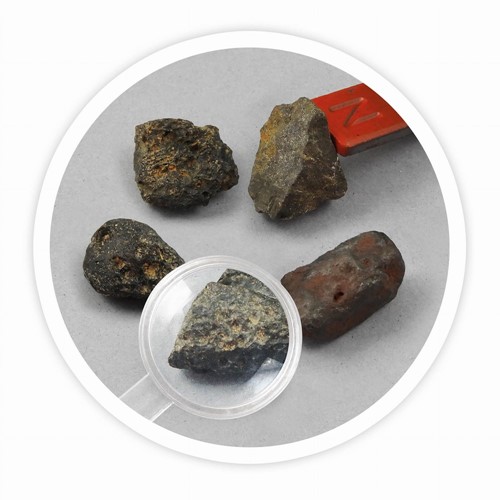 Buki zestaw małego archeologa - kosmiczne skały zatopione w gipsie