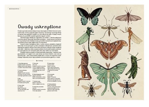 Dwie Siostry Animalium