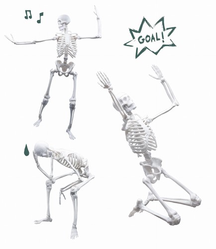 Duży Szkielet człowieka - 45 cm - pomoc naukowa