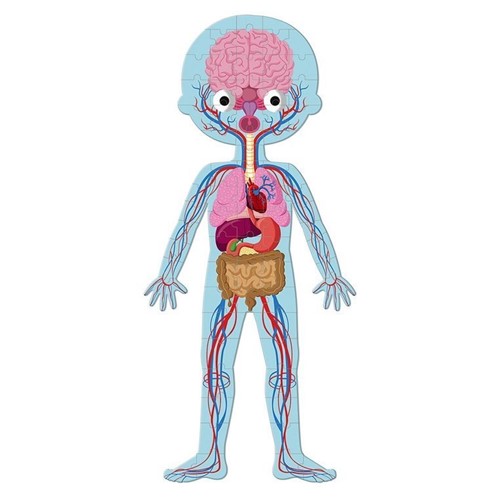 Janod Puzzle gigantyczne Ciało człowieka