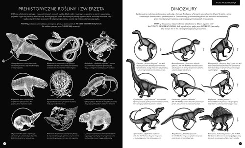 Dwie Siostry Gabinet dinozaurów 