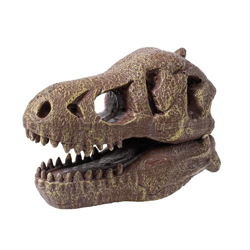 Buki Muzeum czaszek dinozaura - TYRANOZAUR