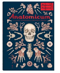 Dwie Siostry Anatomicum  Muzeum Anatomii