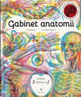 Dwie Siostry Gabinet anatomii